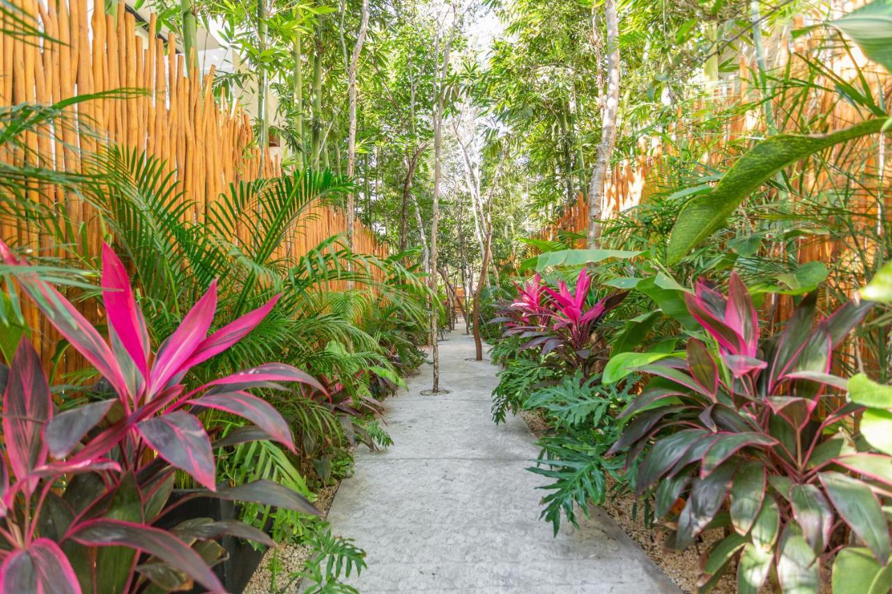 Atman Residences Tulum Exterior photo